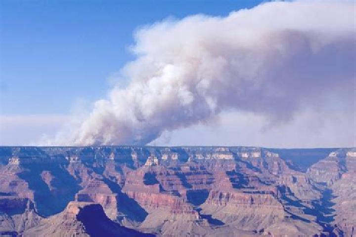 Piper, 37 — Escort in Gold Canyon, United States
