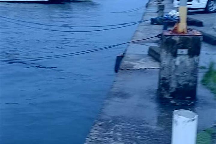 Piper, 37 — Escort in Mengellang, Palau