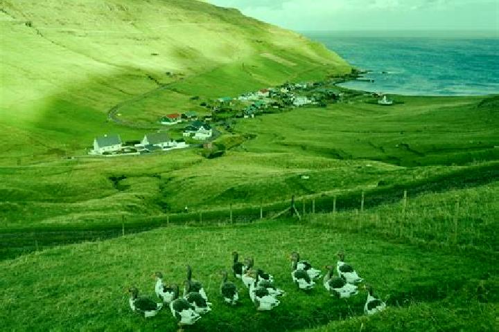 Piper, 37 — Escort in Nordragota, Faroe Islands