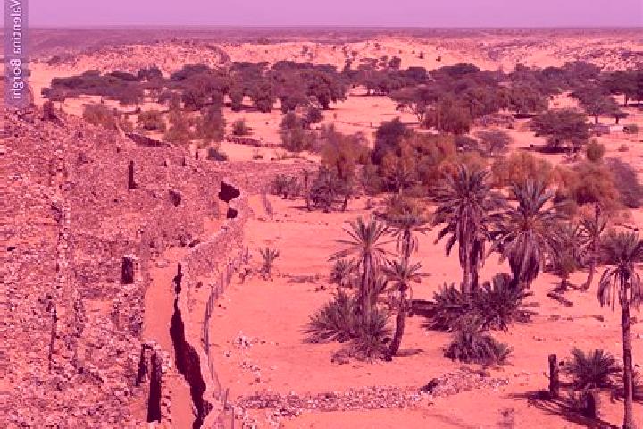 Piper, 37 — Escort in Ouadane, Mauritania