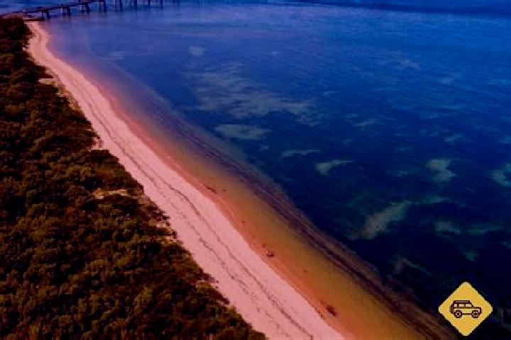 Piper, 37 — Escort in Phillip Bay, Australia