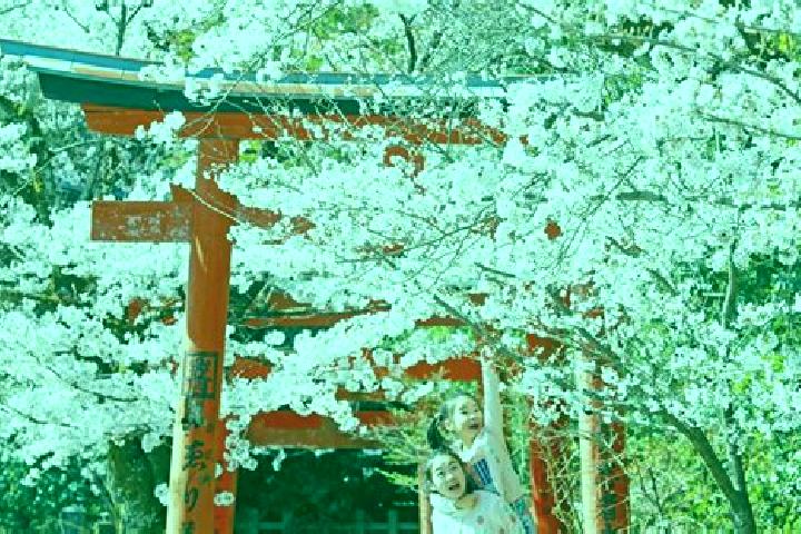 Piper, 37 — Escort in Yoshino, Japan