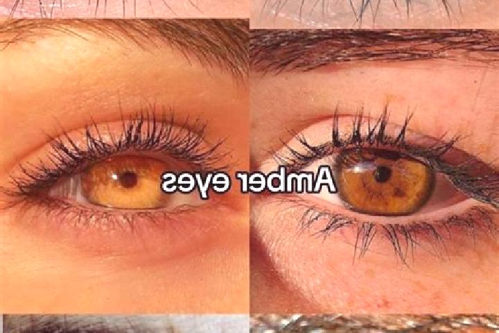 Piper, 38, a chestnut amber-eyed mixed companion based in Vitis. Offering Roleplay, OWO. Available for incall and outcall, day and evening dates.