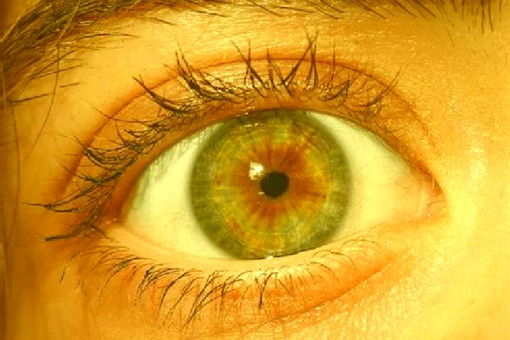 Piper, 38, a red hazel-eyed european companion based in Vellarivalli. Offering OWO, Overnight, Tantra. Available for incall and outcall, overnight bookings a...