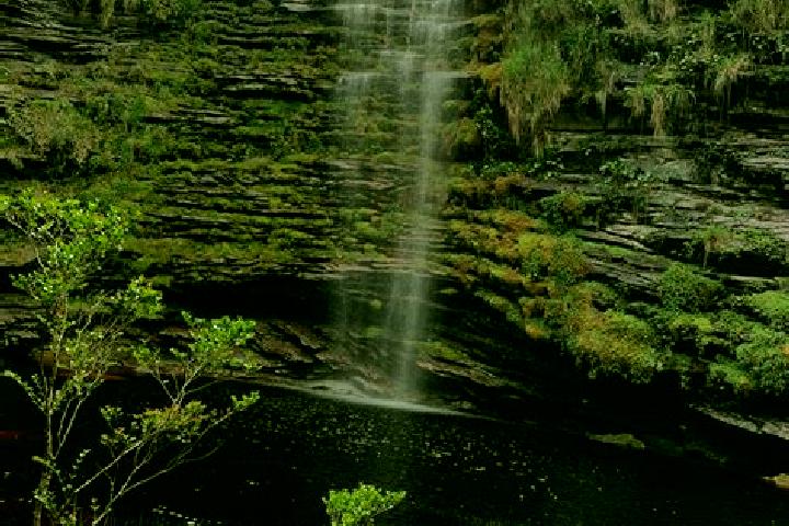 Piper, 38 — Escort in Cachoeira Alta, Brazil