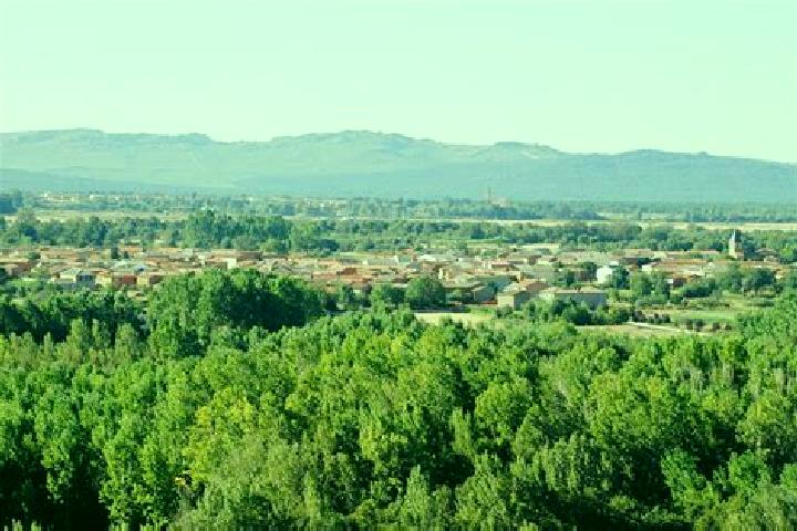 Piper, 38 — Escort in Castrillo de la Valduerna, Spain