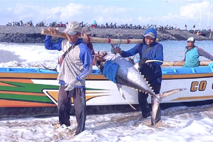 Piper, 38 — Escort in Lewoleba, Indonesia