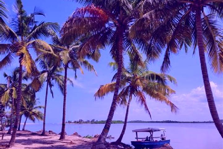 Piper, 38 — Escort in Ouidah, Benin