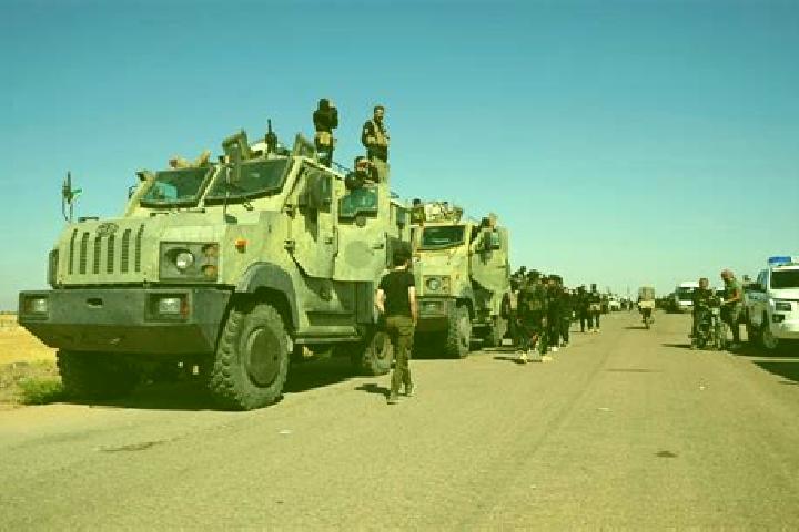 Piper, 38 — Escort in Shaqqa, Syria