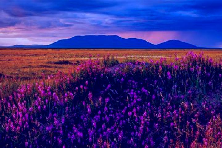 Piper, 38 — Escort in Tundra, India