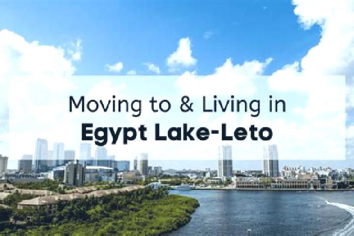 Piper, 39, a brunette blue-eyed caribbean companion based in Egypt Lake-Leto. Offering Tantra, Travel Companion, Erotic Massage. Available for incall and out...