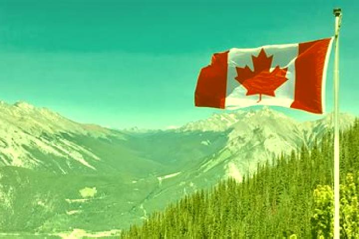 Piper, 39 — Escort in Dingwall, Canada