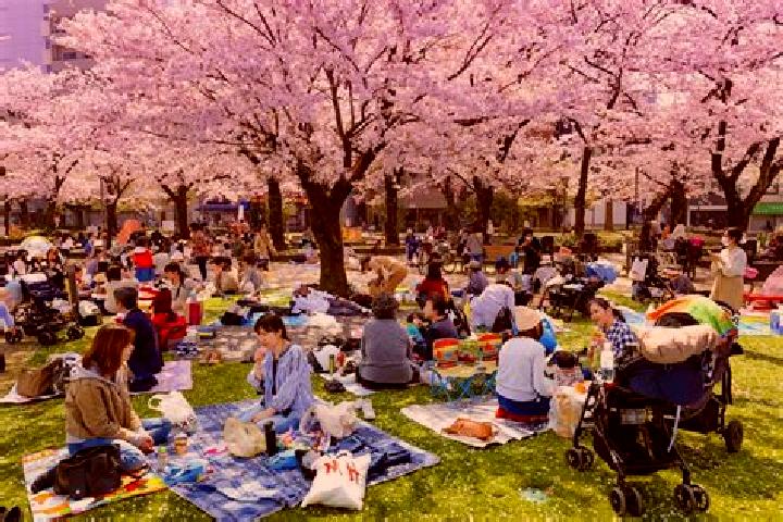 Piper, 39 — Escort in Kinshi, Japan