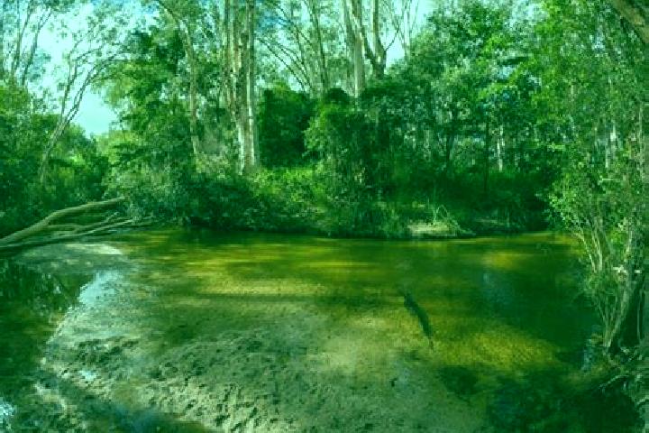 Piper, 39 — Escort in Reedy Creek, Australia