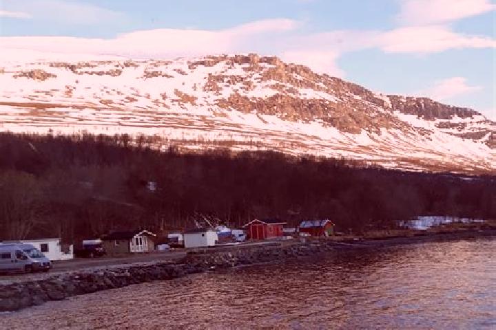 Piper, 39 — Escort in Storslett, Norway