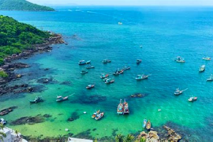 Piper, 39 — Escort in Tien Phuoc, Vietnam
