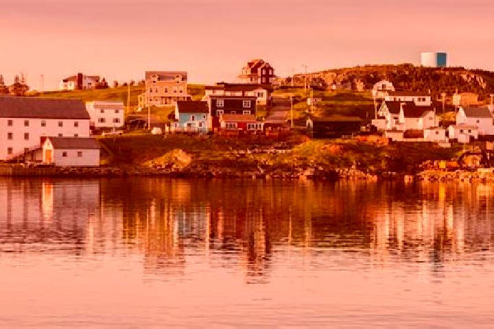 Piper, 39 — Escort in Trinity Bay North, Canada