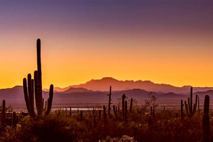 Piper, 39 — Escort in Tucson Estates, United States