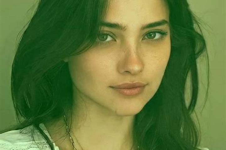 Quinn, 20, a black brown-eyed indian companion based in Werther. Offering A-Level, CIM, Dinner Date. Available for incall and outcall, overnight bookings ava...