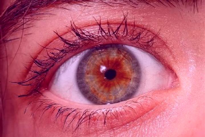 Quinn, 20, a red hazel-eyed middle eastern companion based in Schorndorf. Offering GFE, Prostate Massage, Travel Companion, Domination. Available for incall ...