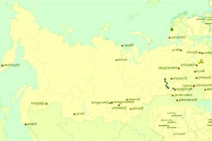 Quinn, 20 — Escort in Bol soj Kamen , Russia