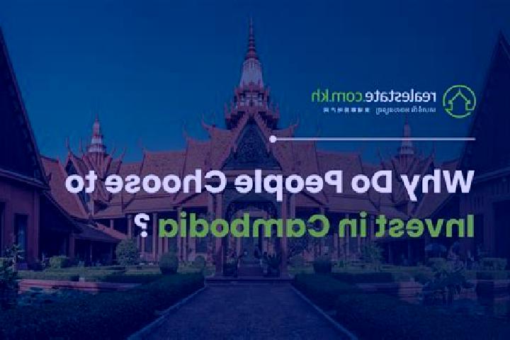 Quinn, 20 — Escort in Damrei Slab, Cambodia
