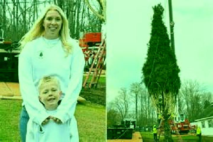 Quinn, 20 — Escort in East Greenbush, United States