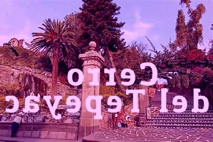 Quinn, 20 — Escort in Ejido Tepeyac (Campo Dos), Mexico