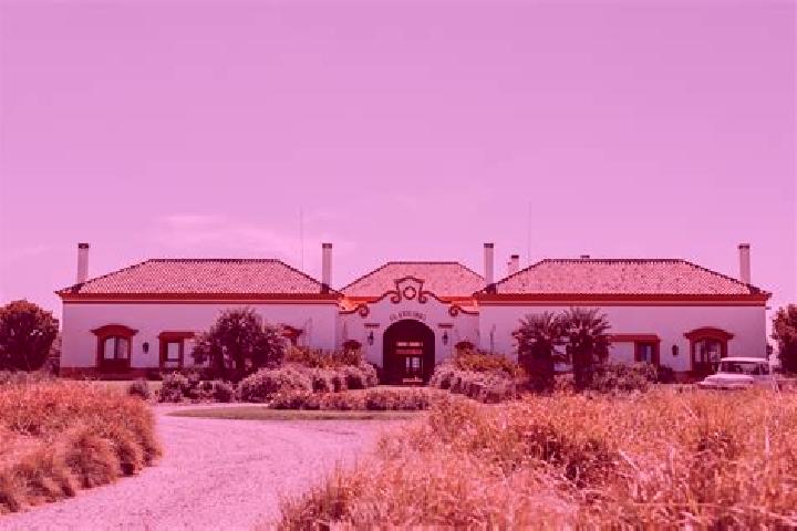 Quinn, 20 — Escort in Estancia de San Francisco, Mexico