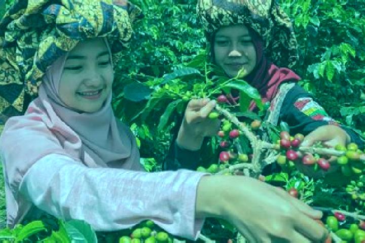 Quinn, 20 — Escort in Onan Ganjang Satu, Indonesia