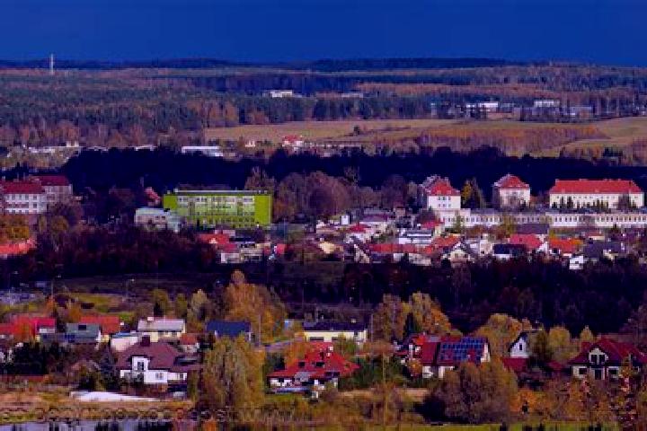 Quinn, 20 — Escort in Pogorzel, Poland