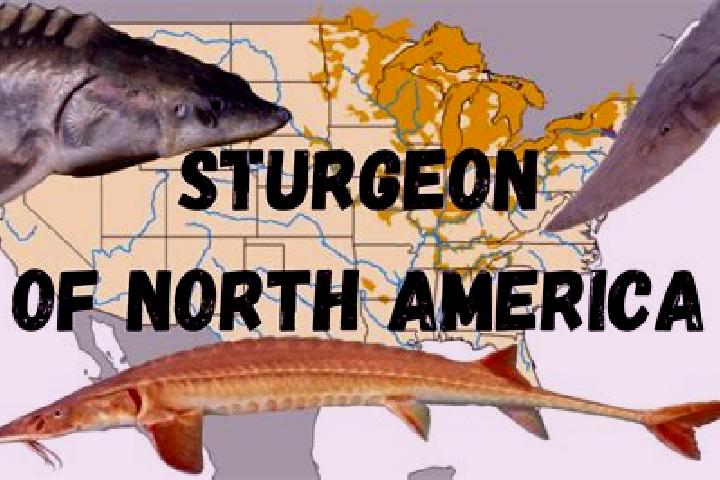 Quinn, 20 — Escort in Rural North East South Sturgeon, Canada