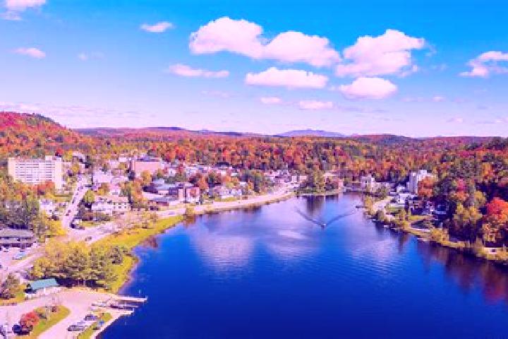 Quinn, 20 — Escort in Saranac, United States