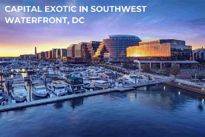 Quinn, 20 — Escort in Southwest Waterfront, United States