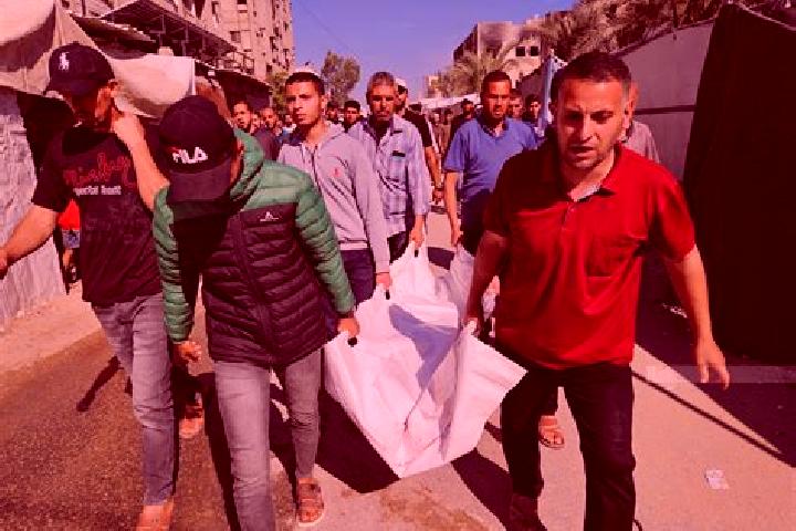 Quinn, 20 — Escort in Umm ad Daraj, Palestine