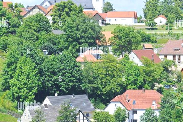Quinn, 21 — Escort in Bad Wuennenberg, Germany