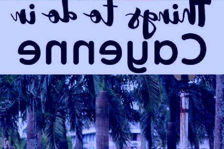 Quinn, 21 — Escort in Cayenne, French Guiana