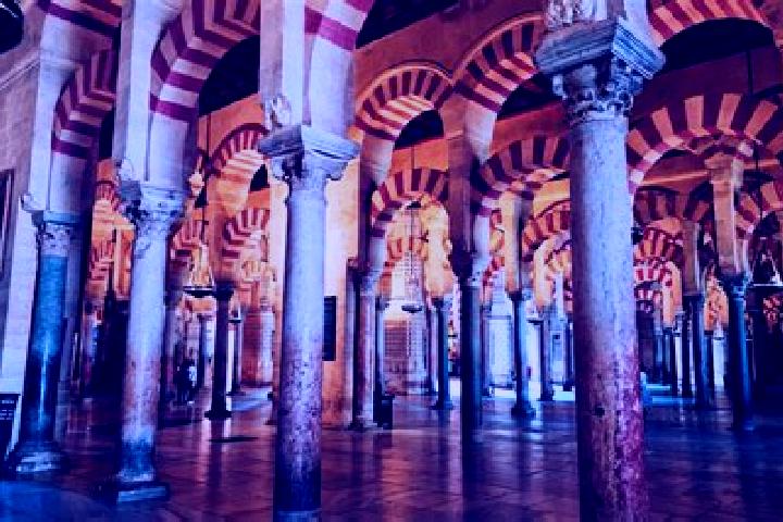 Quinn, 21 — Escort in Mezquita de Jarque, Spain