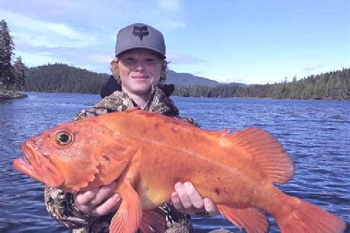 Quinn, 21 — Escort in Rockfish, United States
