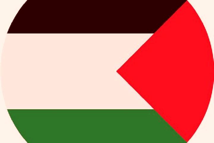 Quinn, 21 — Escort in Yasid, Palestine
