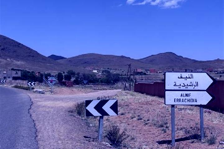 Quinn, 22 — Escort in Alnif, Morocco