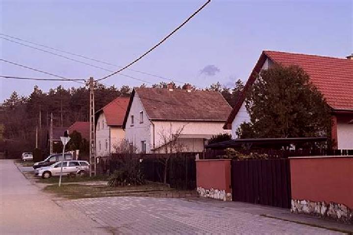 Quinn, 22 — Escort in Besenyszog, Hungary