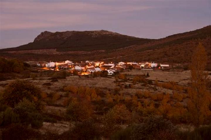 Quinn, 22 — Escort in Cereceda de la Sierra, Spain