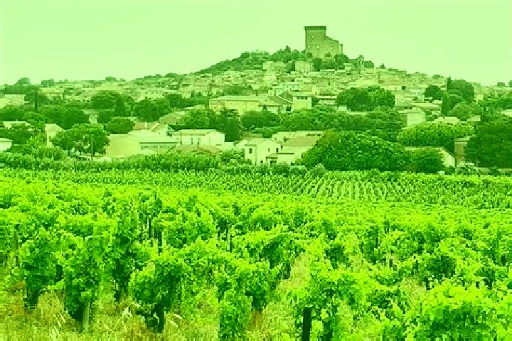 Quinn, 22 — Escort in Chateauneuf-du-Rhone, France