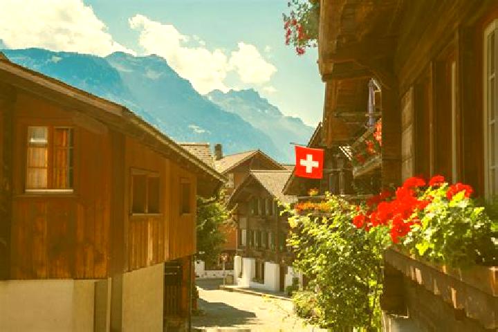 Quinn, 22 — Escort in Geroldswil, Switzerland