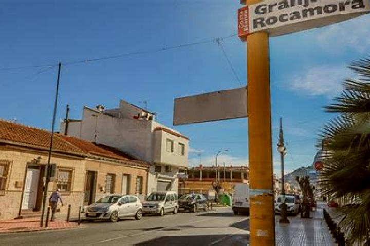 Quinn, 22 — Escort in Granja de Rocamora, Spain