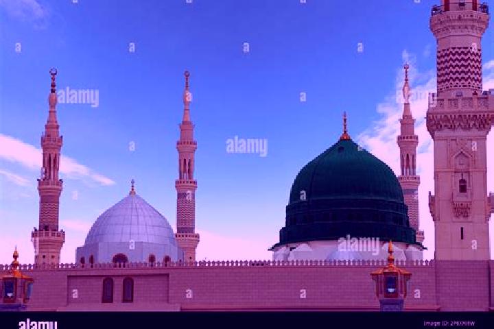 Quinn, 22 — Escort in Hada iq al Qubbah, Egypt