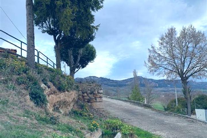 Quinn, 22 — Escort in Llano de Bureba, Spain