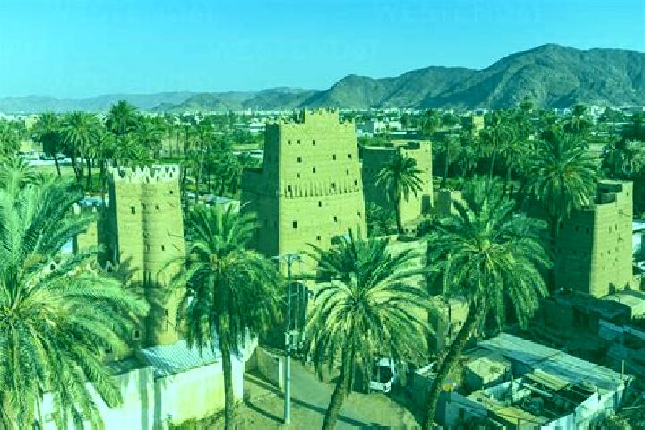 Quinn, 22 — Escort in Najran, Saudi Arabia