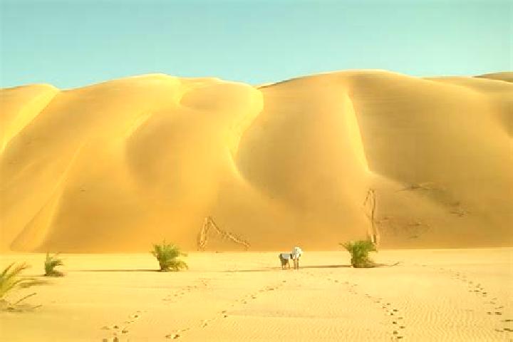Quinn, 22 — Escort in Ouad Naga, Mauritania